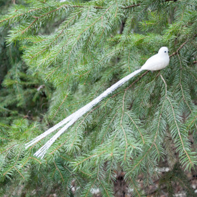 white long tail bird clip, bird, birds, bird ornament, bird ornaments, Christmas bird, Christmas birds, bird Christmas ornament, bird Christmas decorations, bird Christmas tree ornaments, bird Christmas tree decorations, bird xmas decorations, white bird, white birds, clip on bird ornaments, bird tree ornaments