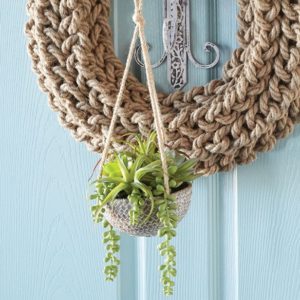 hanging potted succulents, succulent, succulents, succulent plant, succulent plants, succulent garden, succulents for sale, succulent pots, hanging succulents, buy succulents, succulent plants for sale, indoor succulent, small succulent plants, small succulent, small succulents, artificial succulents, fake succulent, fake succulents, artificia succulent plants, indoor plant, pot plants, indoor hanging plants, houseplant, indoor succulent garden, succulent house plant, tiny succulents, growing succulents, indoor succulent plants, succulents online, mini succulents, succulent varieties, succuletn gifts, succulent containers, green, green succulent, fake succulent plant, plant, plants, hanging plant, hanging plants, indoor house plants, office plants, small plant pots, inside plants