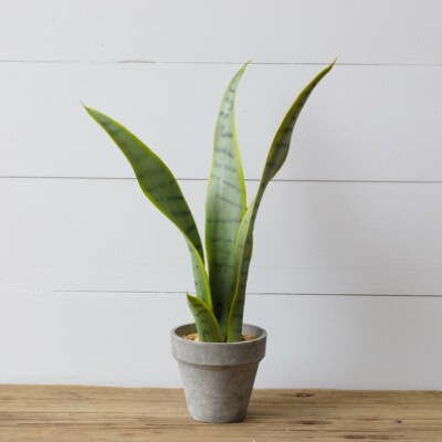 potted snake plant, artificial plant, artificial potted plant, snake plant, snake plants, faux snake plant, sansevieria, sansevieria plant, sanseevieria plants, green, greens, potted plant, artificial green plant, plant, plants, silk. silk plant, fake snake plant, articial snake plant